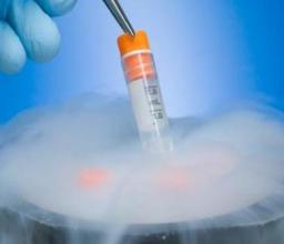 ���ݴ���